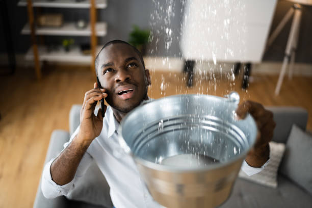Best Local water damage restoration  in Chester, WV