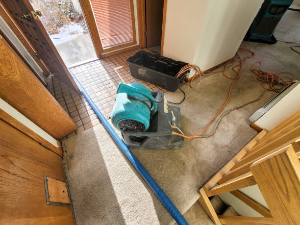 Best Water damage restoration specialists  in Chester, WV