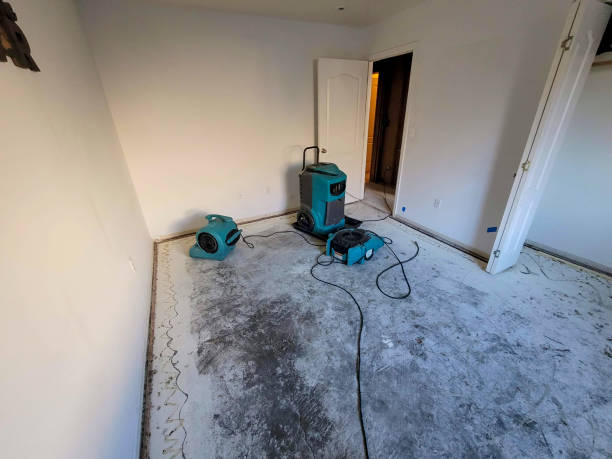 Best Basement water damage restoration  in Chester, WV