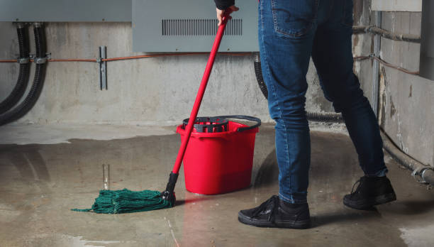 Best Flooded house restoration  in Chester, WV